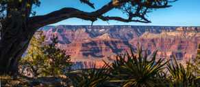 Grand Canyon-5216.jpg